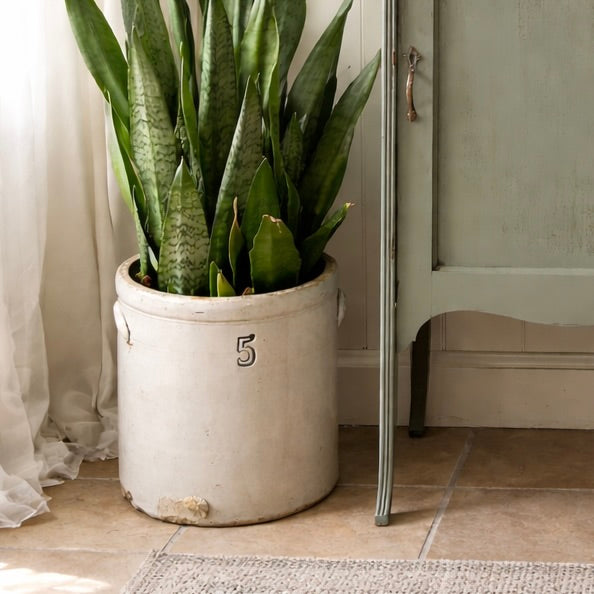 Jarre antique 5 gallons