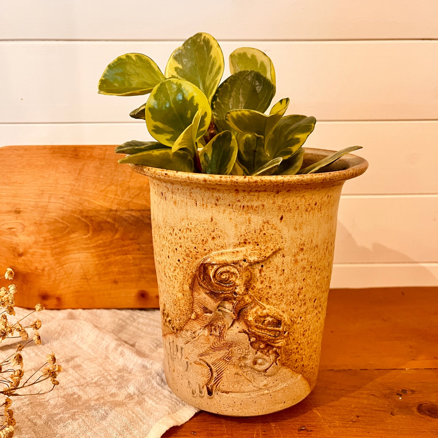 Refroidisseur à vin en grès