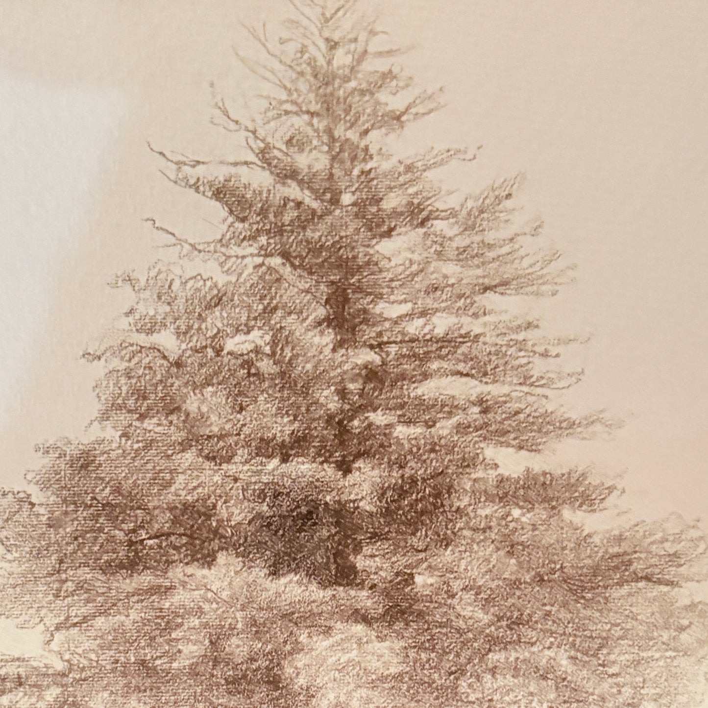 Canvas print - The cellist