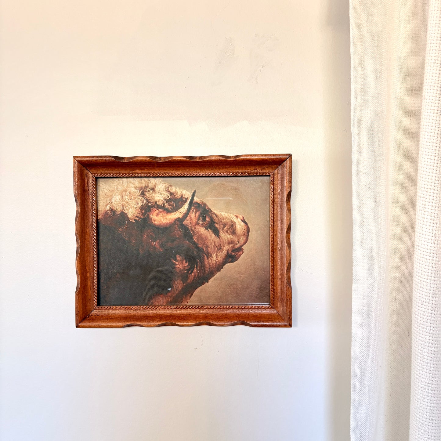 Canvas print - The cellist
