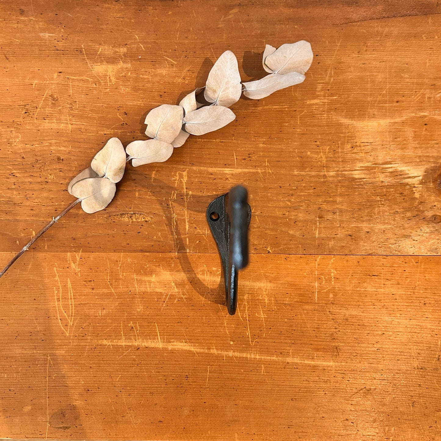 Cast iron plant hook