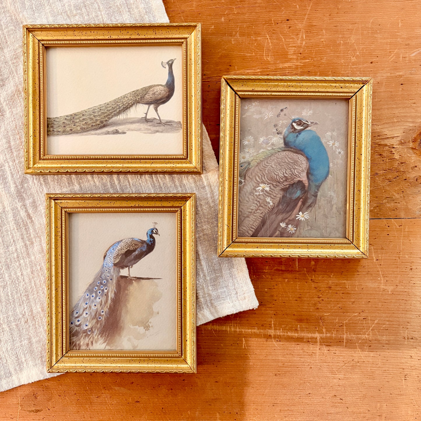 Cadre vintage avec impression sur papier beaux-arts - Le paon I