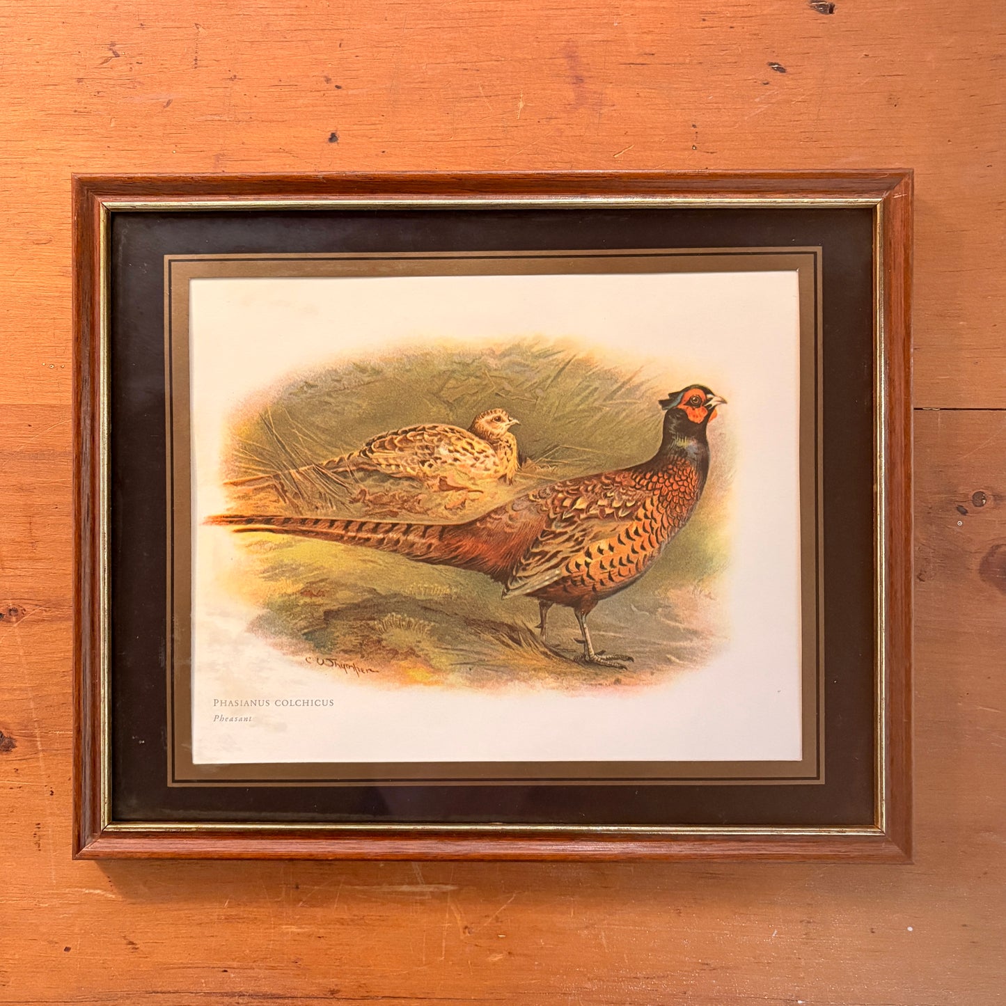 Vintage Frame - The Pheasants II
