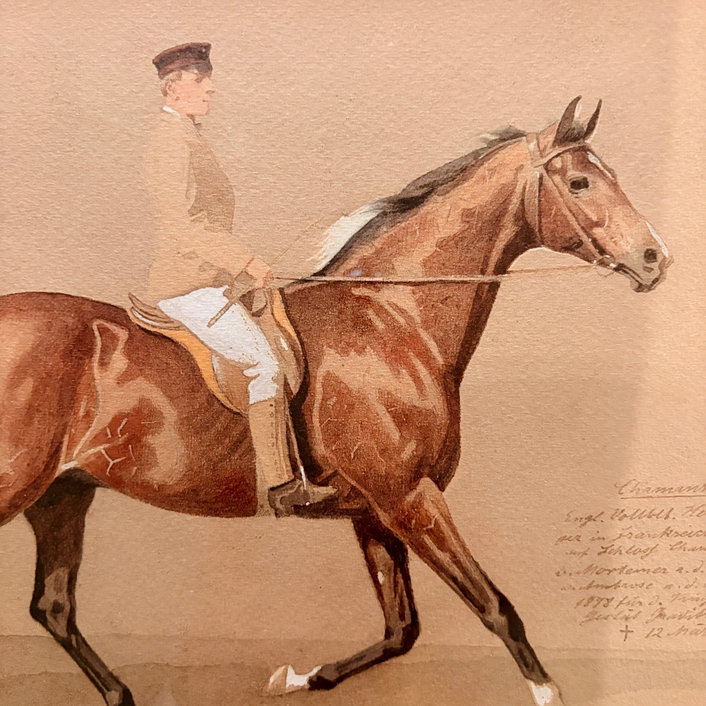 Canvas print - The cellist