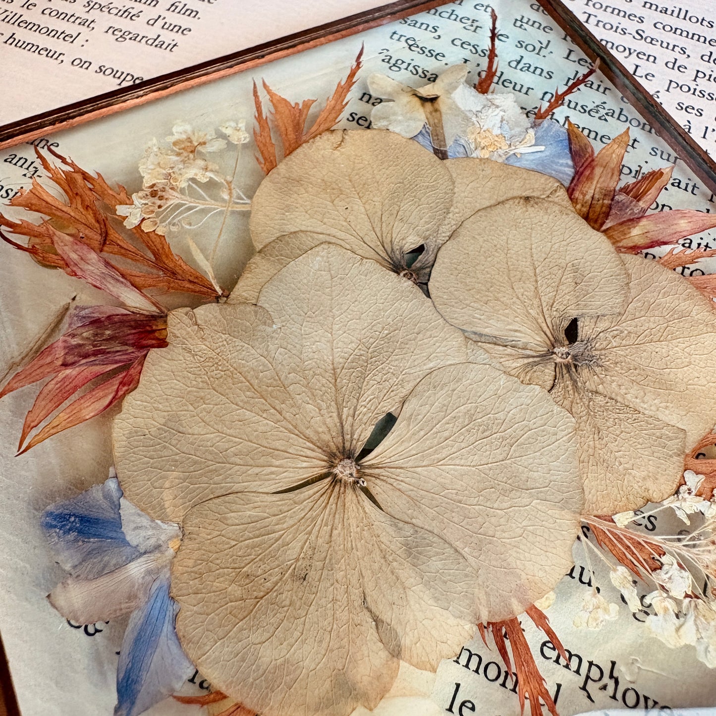 Presse-papier fleurs pressées