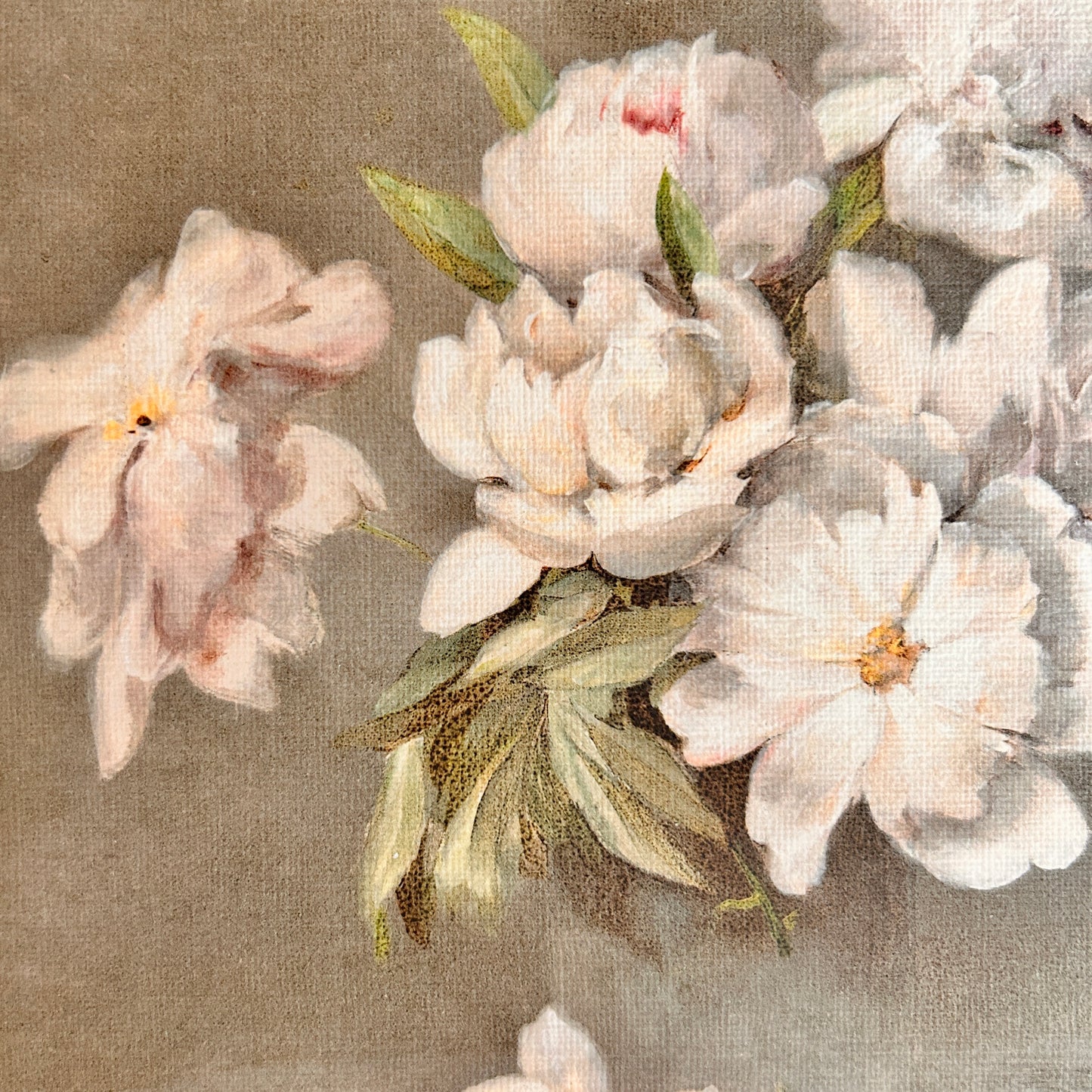 Canvas print - The cellist