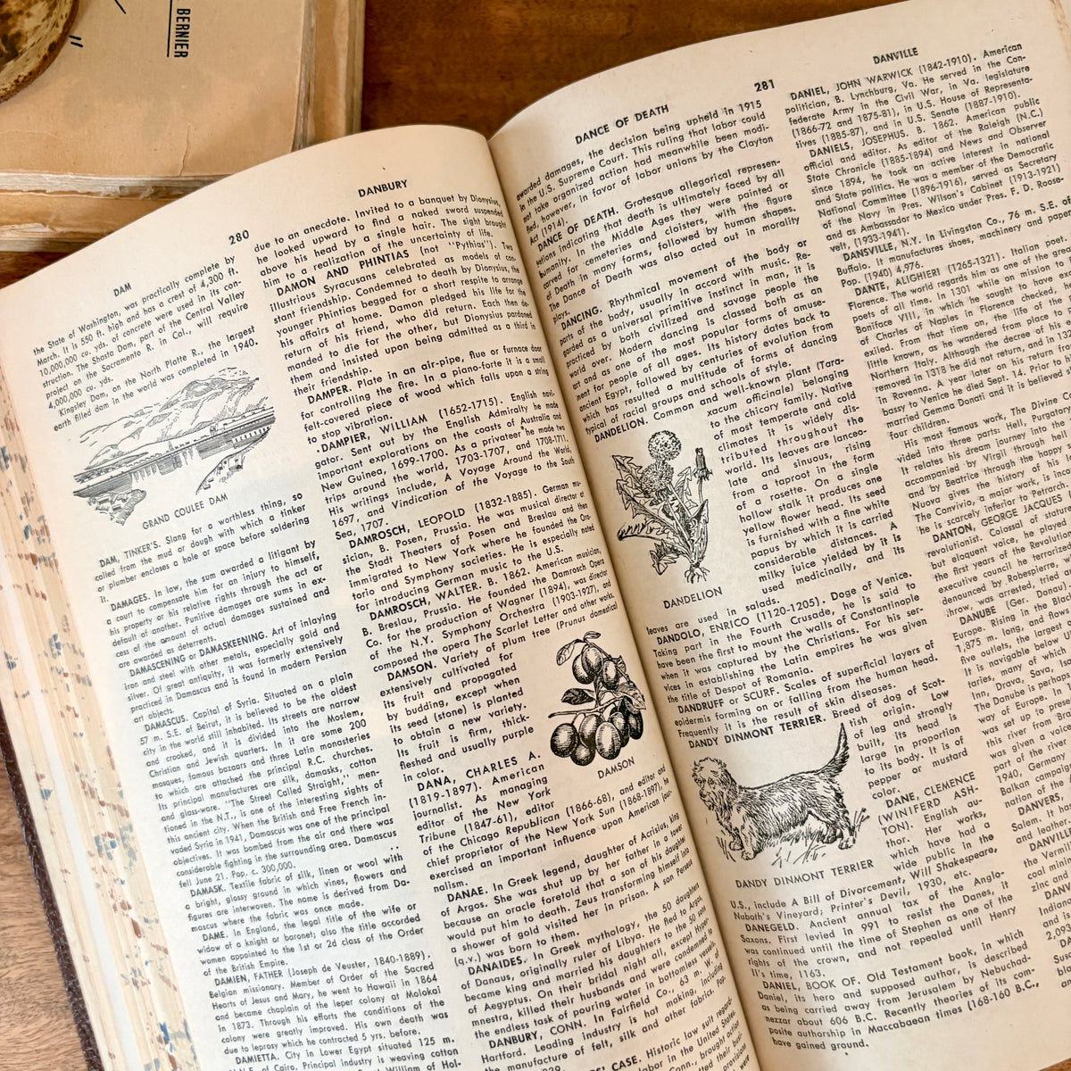 Livre - The new modern encyclopedia