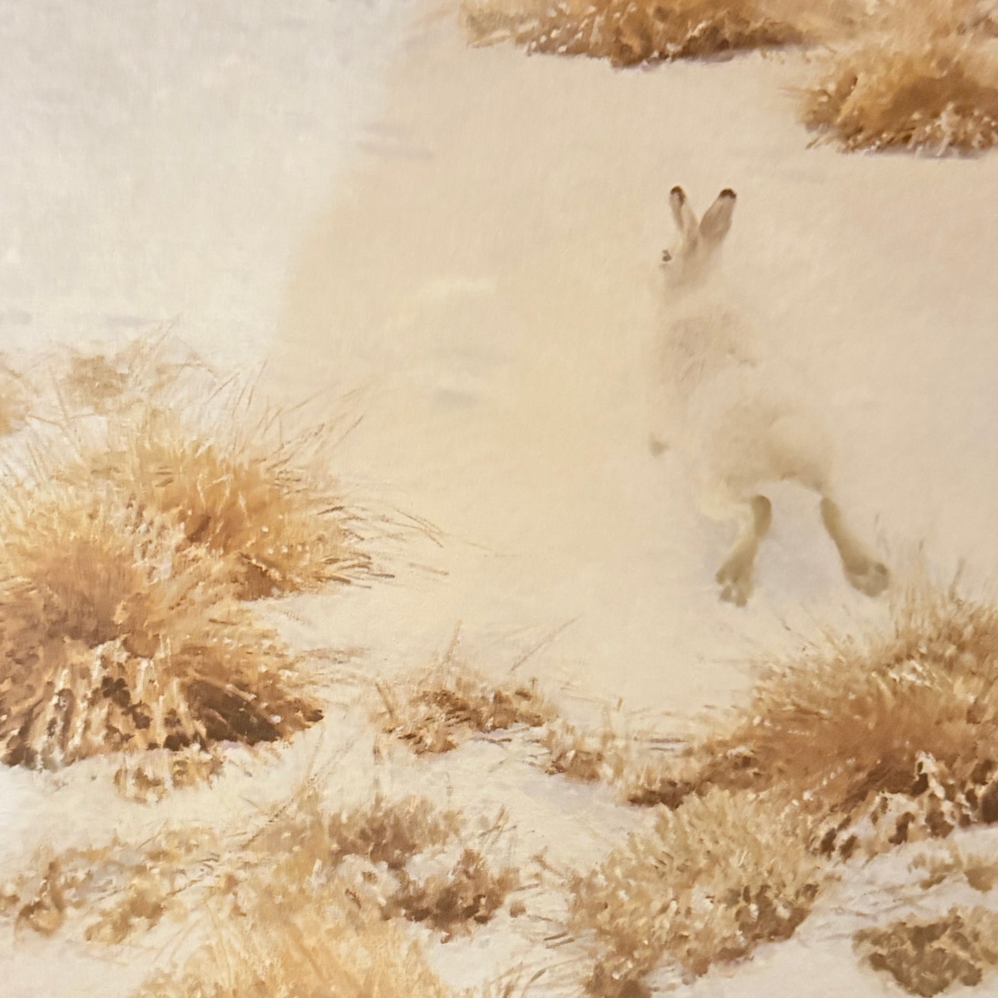 Canvas print - The cellist