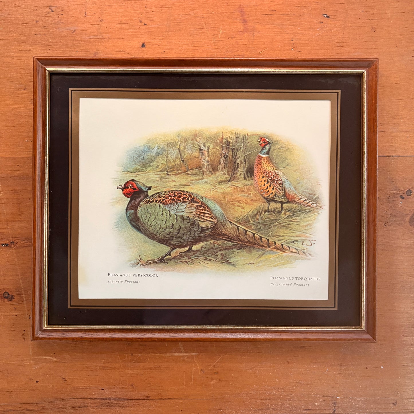 Vintage frame - The Pheasants I