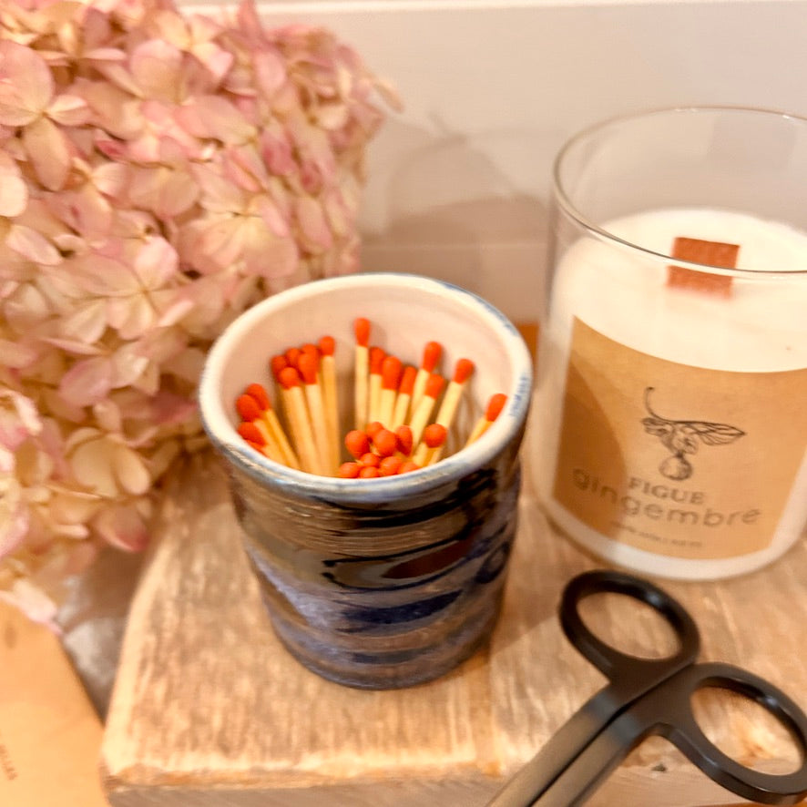 Matchpot n.10 - Patrick Roy potier