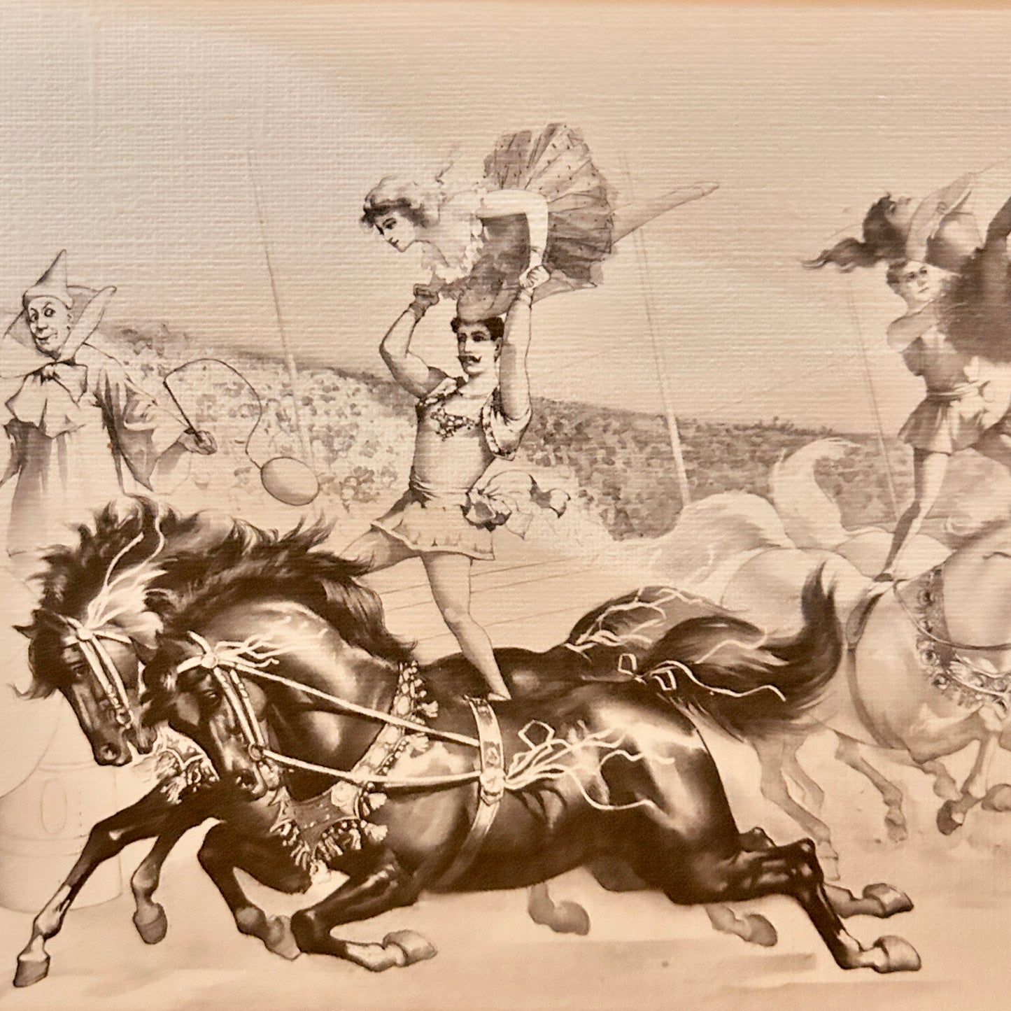 Canvas print - The cellist