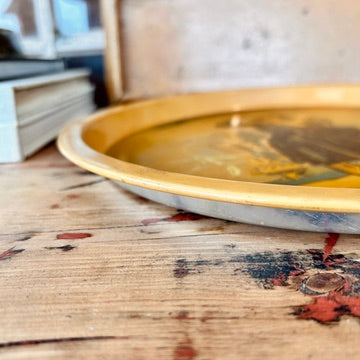 Metallic Plateau Long John