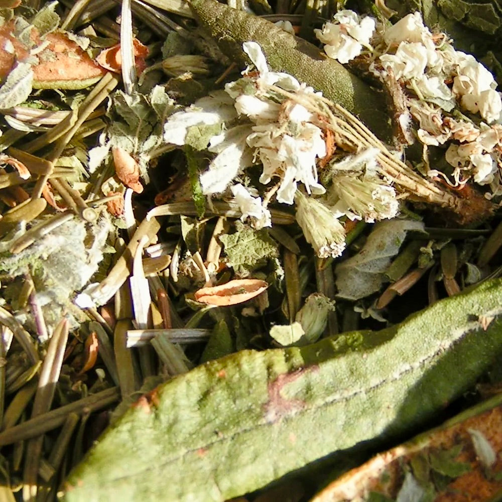 Diviner's Herbal Tea