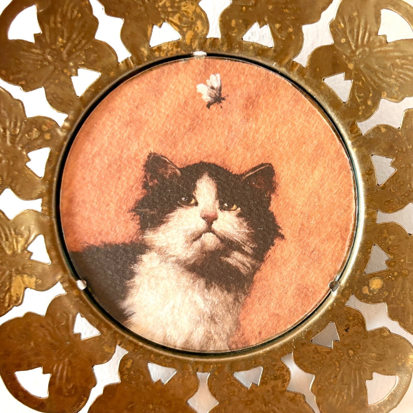 Cadre vintage avec impression sur papier beaux-arts - Le minou