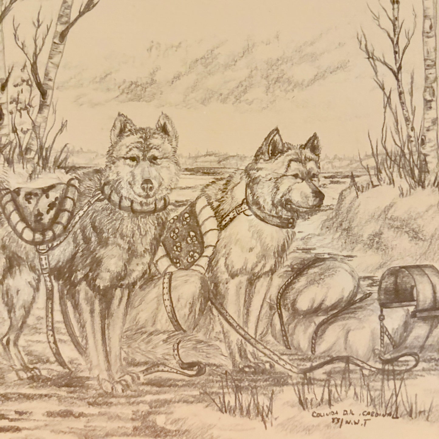 Cadre vintage - Les chiens de traineau