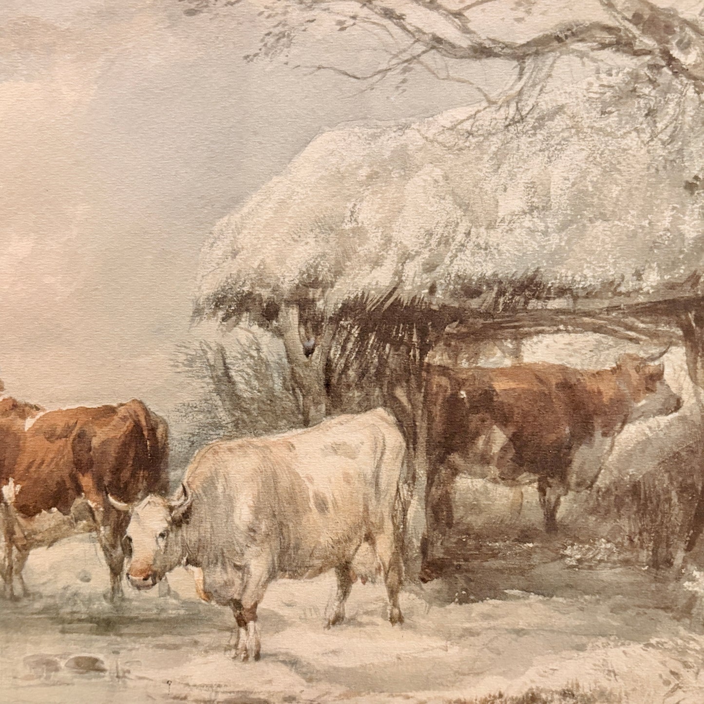 Canvas print - The cellist