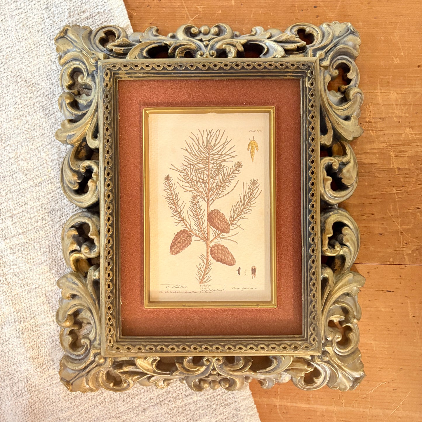 Canvas print - The cellist