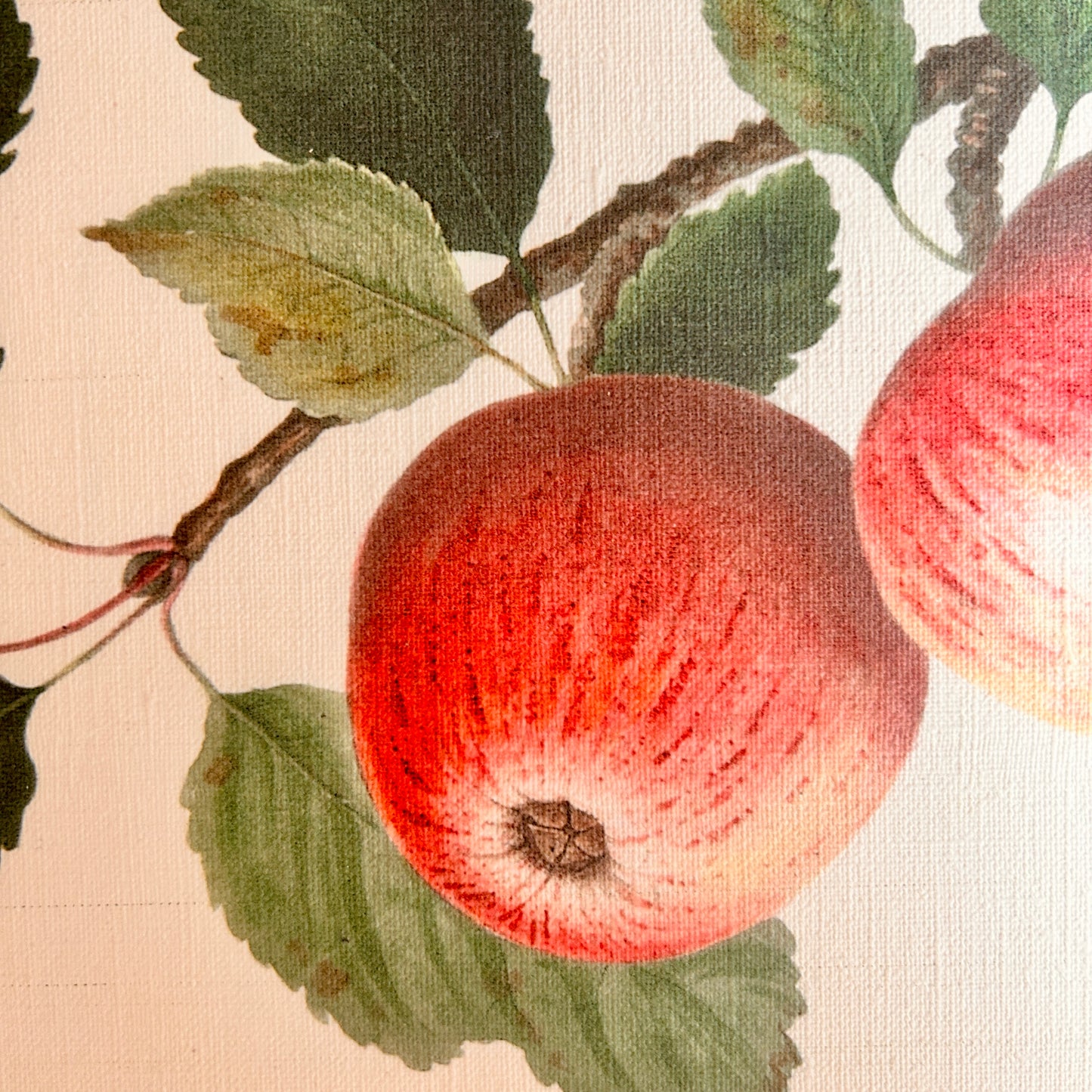 Canvas print - The cellist