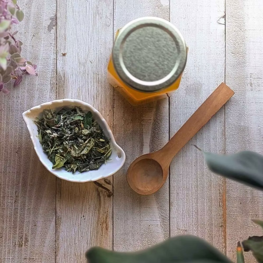 Infusion Gardienne des Mémoires - Alchémille et Sauge