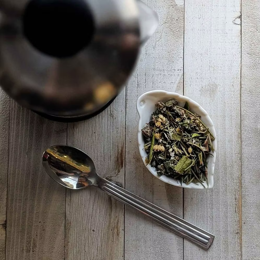 Infusion Du Sourcier - Achillée et Sureau