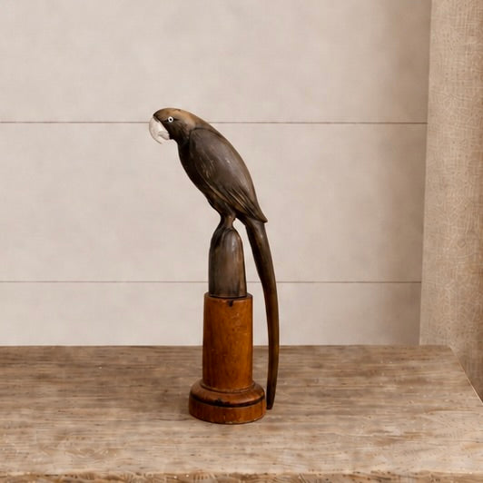 Perroquet en corne