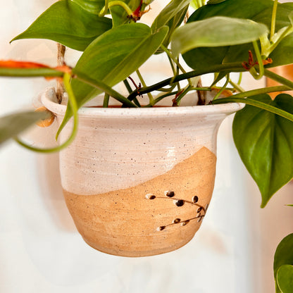 Hanging planter