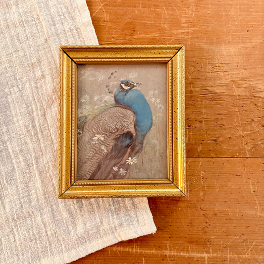 Cadre vintage avec impression sur papier beaux-arts - Le paon II