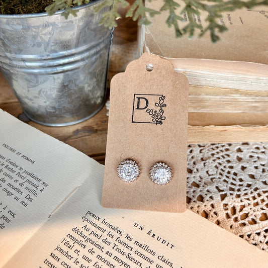 Boucles d'oreilles scintillantes