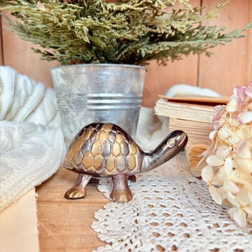 Brass Turtle