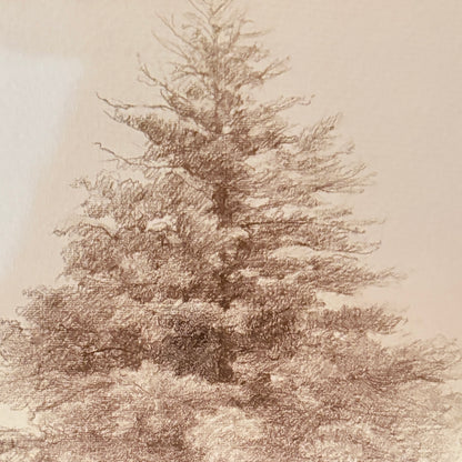 Canvas print - The cellist