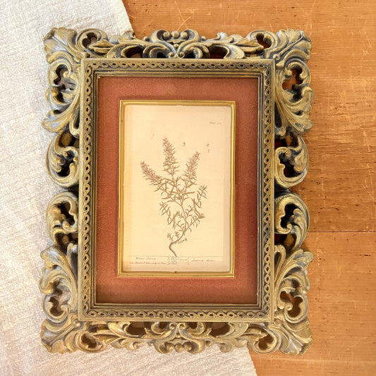 Canvas print - The cellist