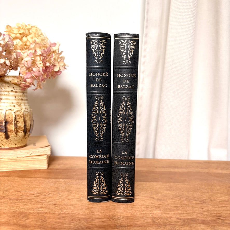 Duo de livre Honoré de Balzac
