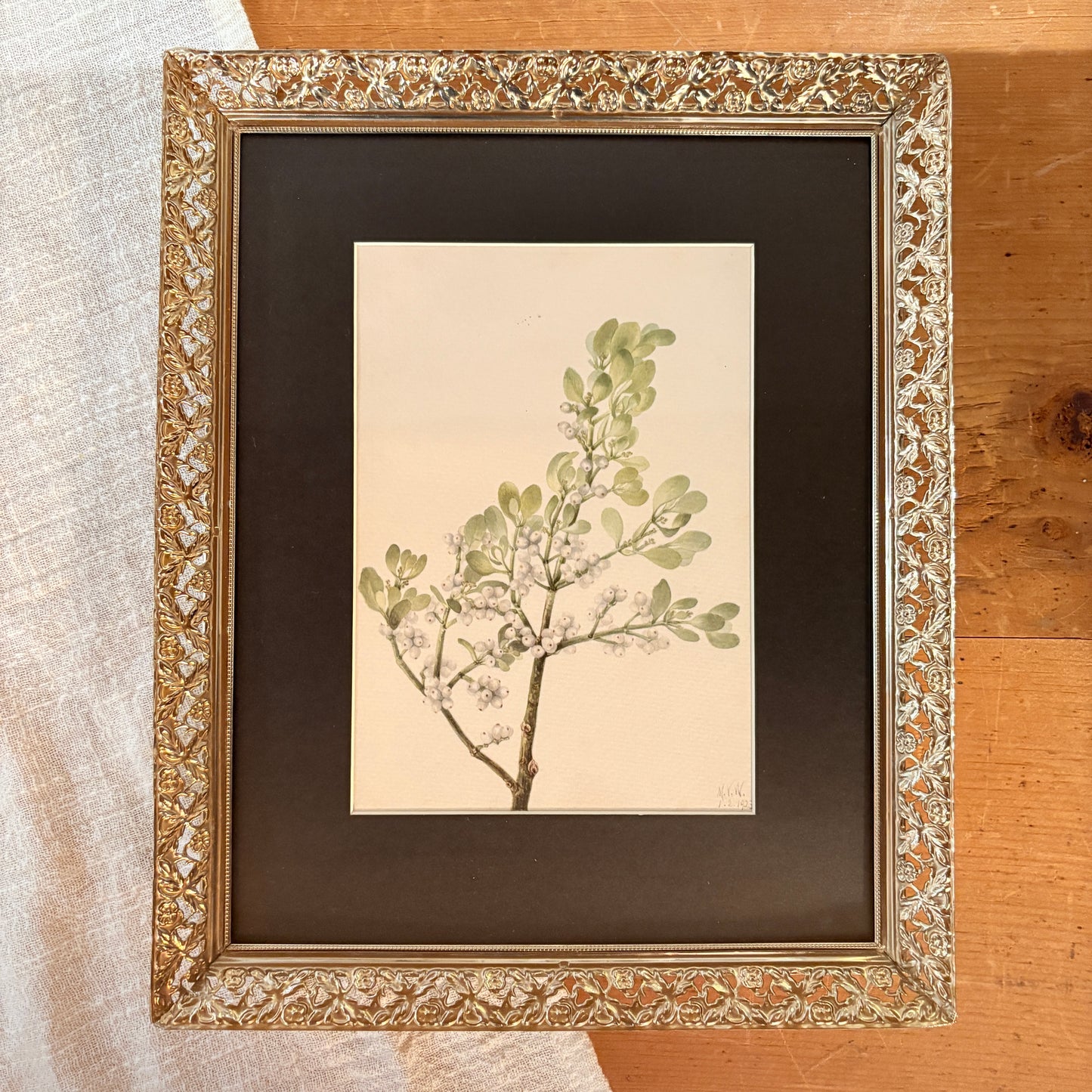 Canvas print - The cellist