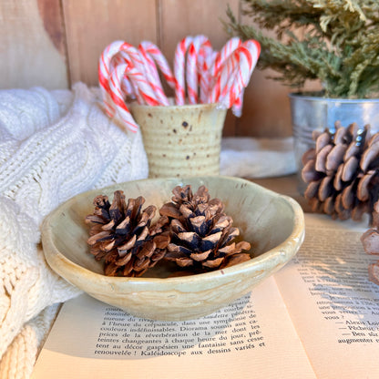 Rustic bowl