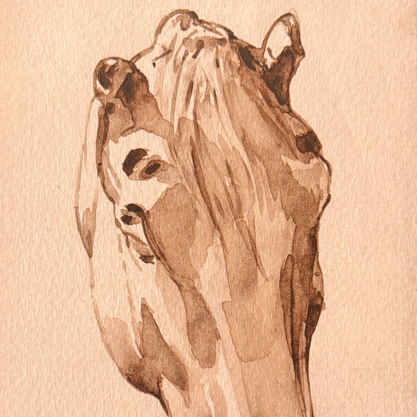 Cadre vintage avec impression sur papier beaux-arts - La tête