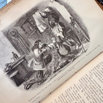 Book - Works of Alexandre Dumas 1893