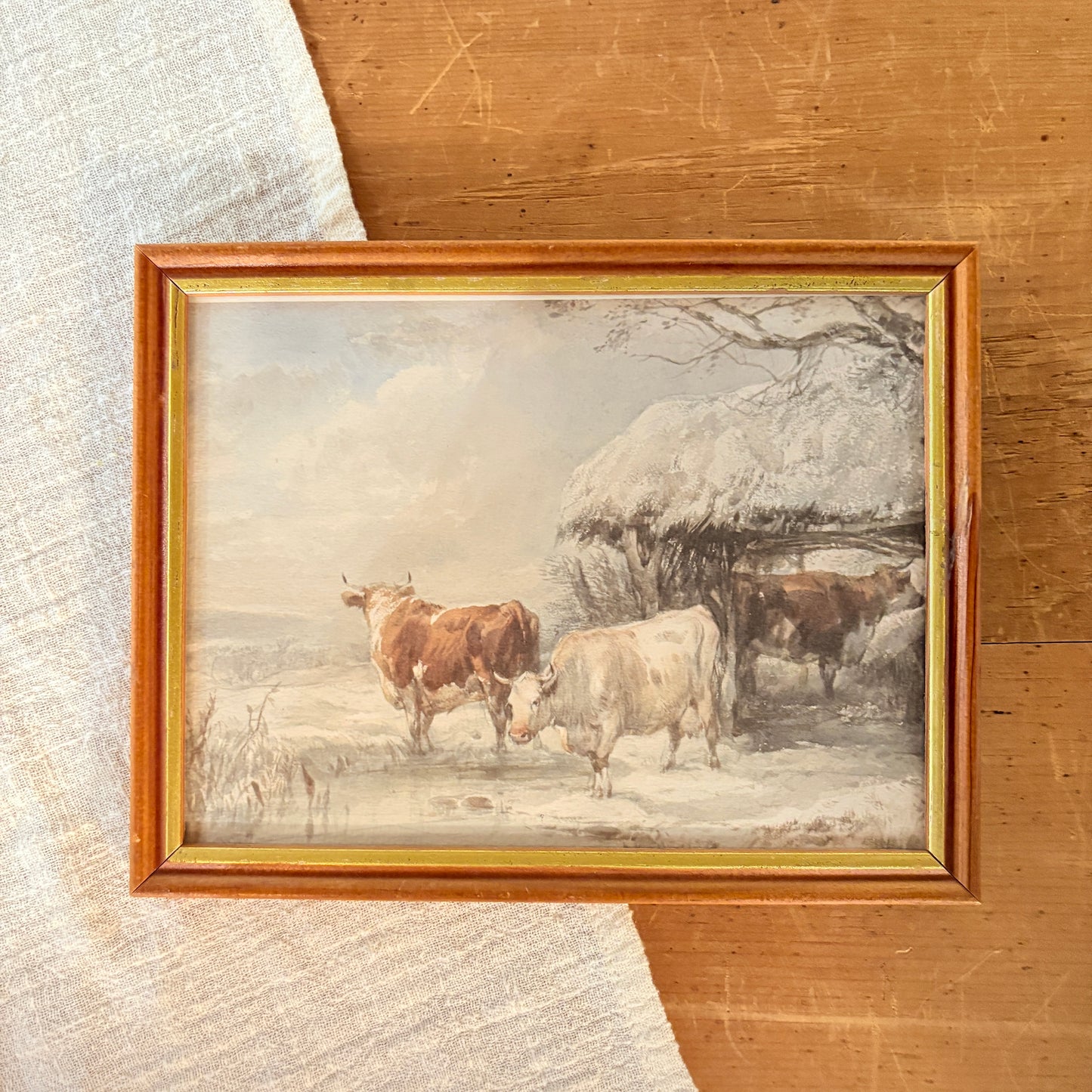 Canvas print - The cellist