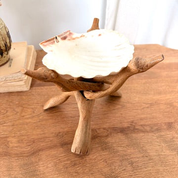Porte-encens coquillage