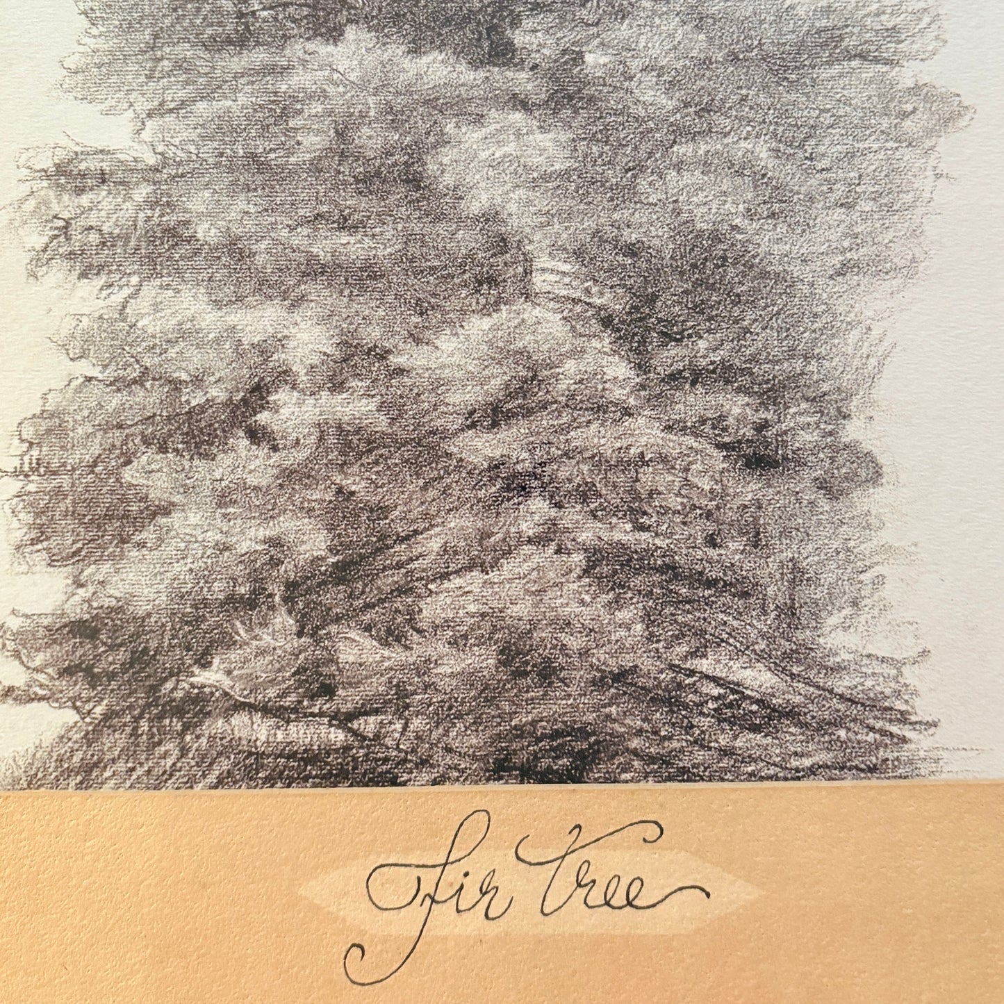 Canvas print - The cellist