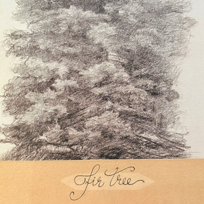 Canvas print - The cellist