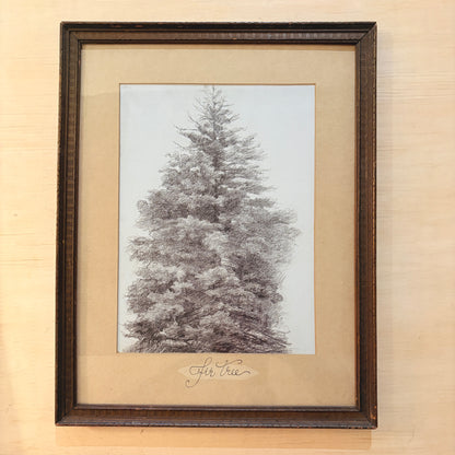 Canvas print - The cellist