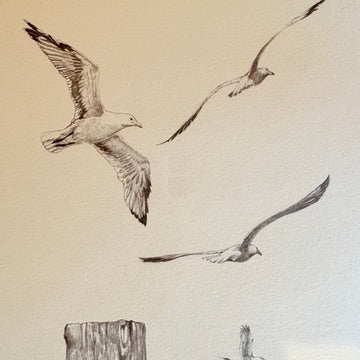 Canvas print - The cellist