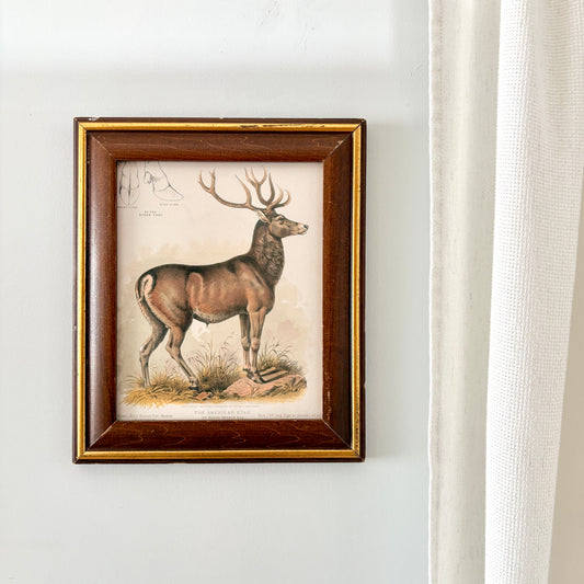 Cadre vintage avec impression sur papier beaux-arts - Le cerf