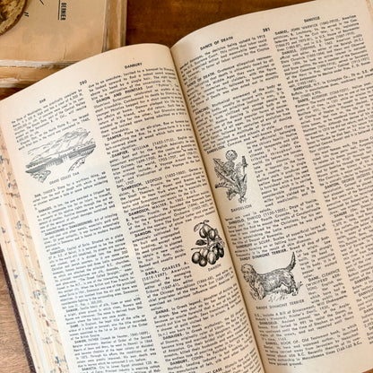 Livre - The new modern encyclopedia
