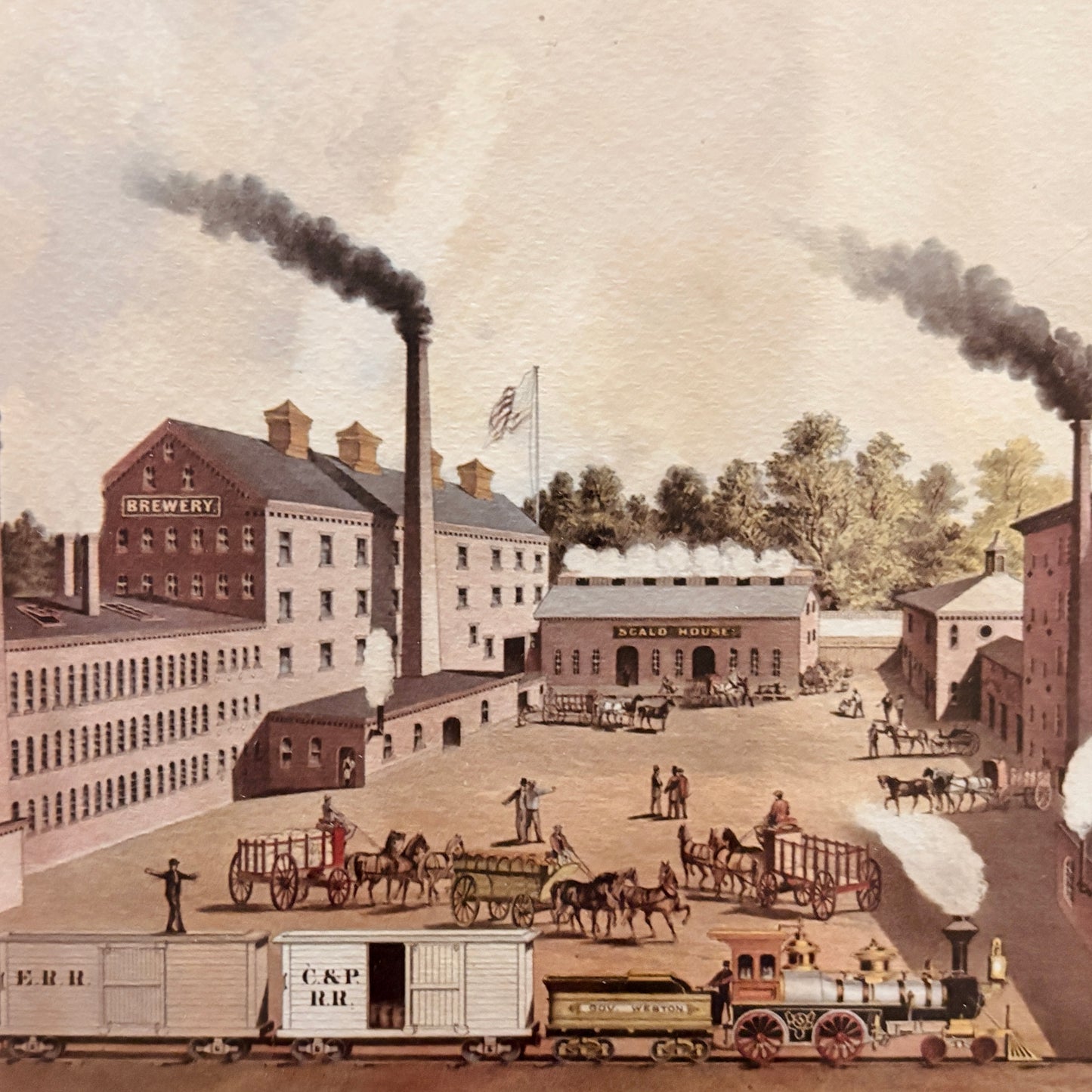 Canvas print - The cellist