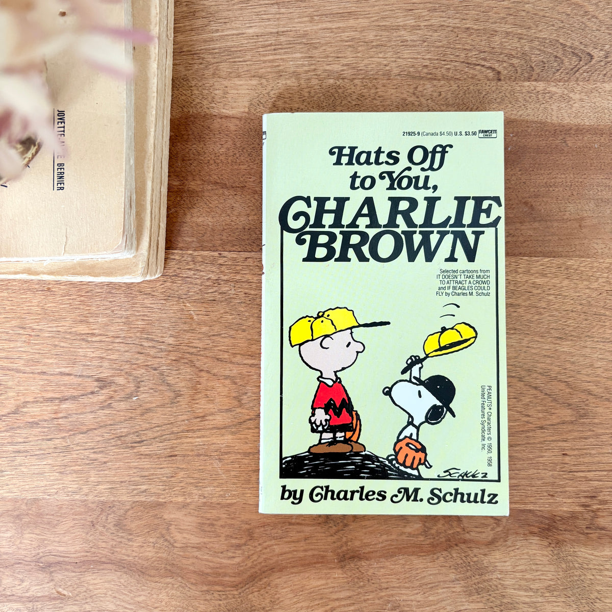 Bande dessinée - Charlie Brown