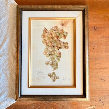 Canvas print - The cellist