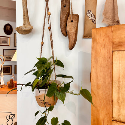 Hanging planter