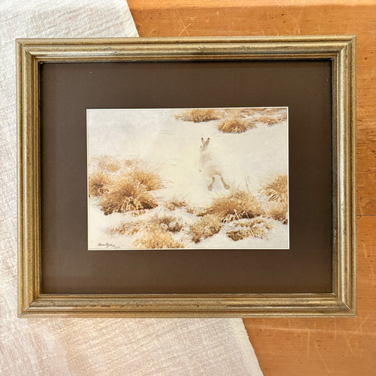 Canvas print - The cellist