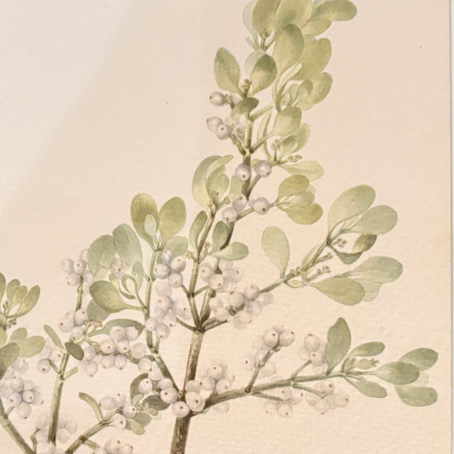 Canvas print - The cellist